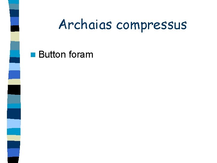 Archaias compressus n Button foram 