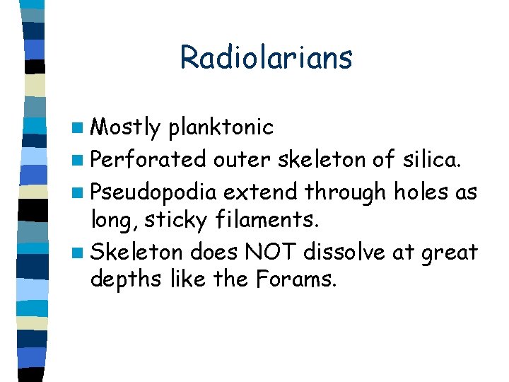  Radiolarians n Mostly planktonic n Perforated outer skeleton of silica. n Pseudopodia extend