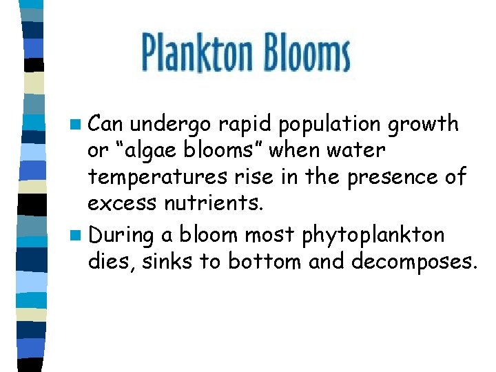 n Can undergo rapid population growth or “algae blooms” when water temperatures rise n Can undergo rapid population growth or “algae blooms” when water temperatures rise