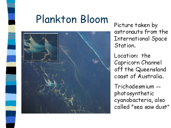 Plankton Bloom Picture taken by astronauts from the International Space Station. Location: the Capricorn