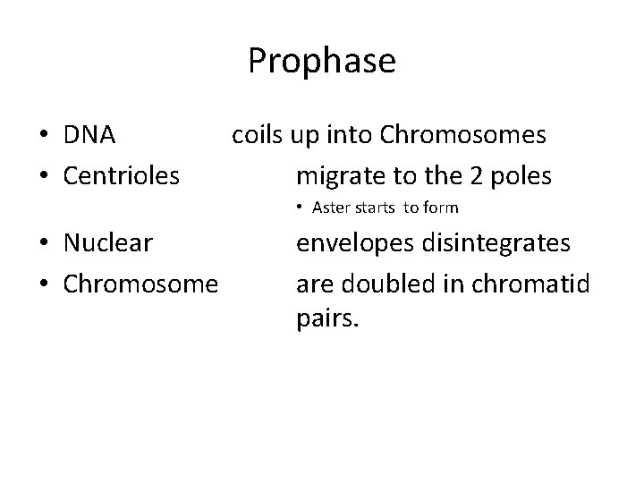 Prophase • DNA • Centrioles coils up into Chromosomes migrate to the 2 poles