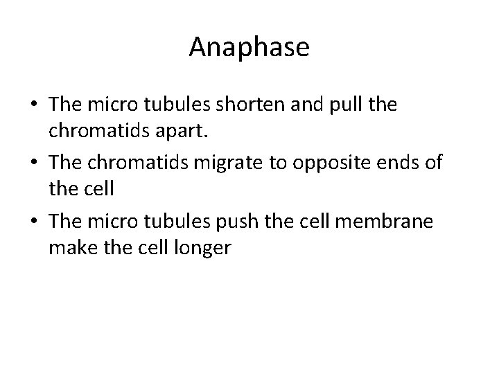 Anaphase • The micro tubules shorten and pull the chromatids apart. • The chromatids