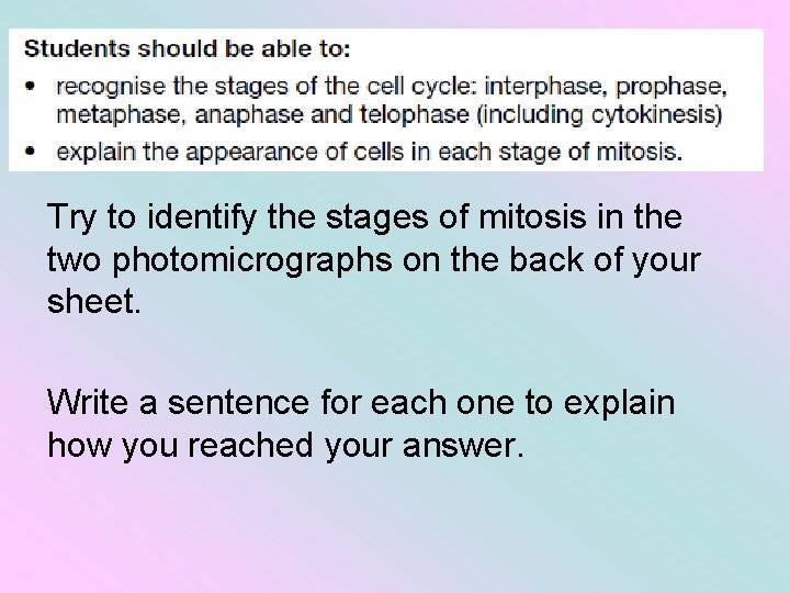 Try to identify the stages of mitosis in the two photomicrographs on the back