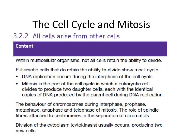 The Cell Cycle and Mitosis 