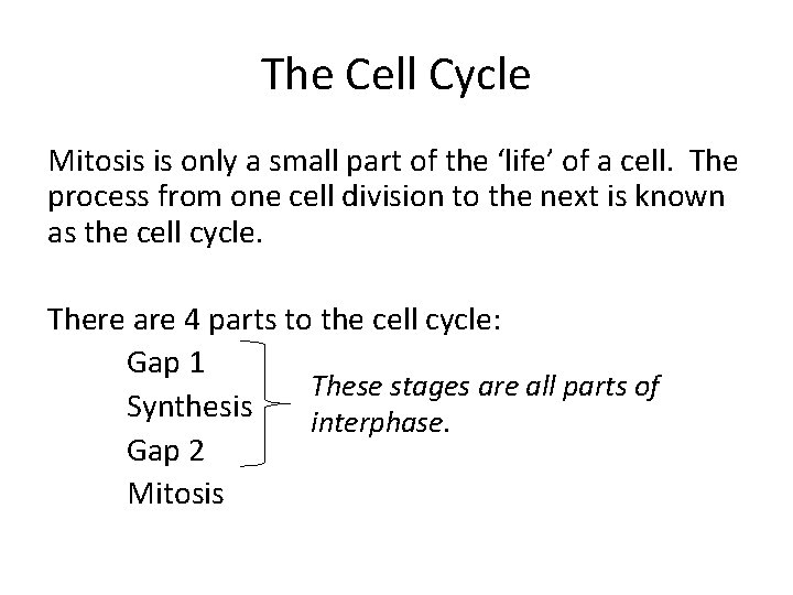 The Cell Cycle Mitosis is only a small part of the ‘life’ of a