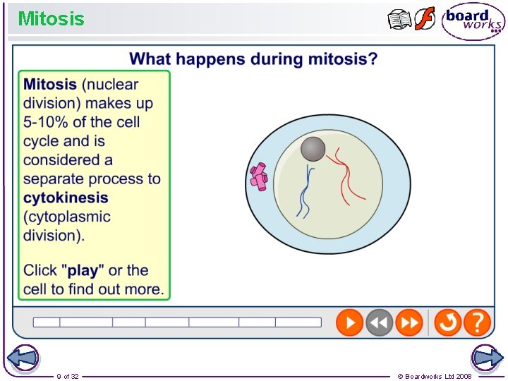 Mitosis 9 of 32 © Boardworks Ltd 2008 