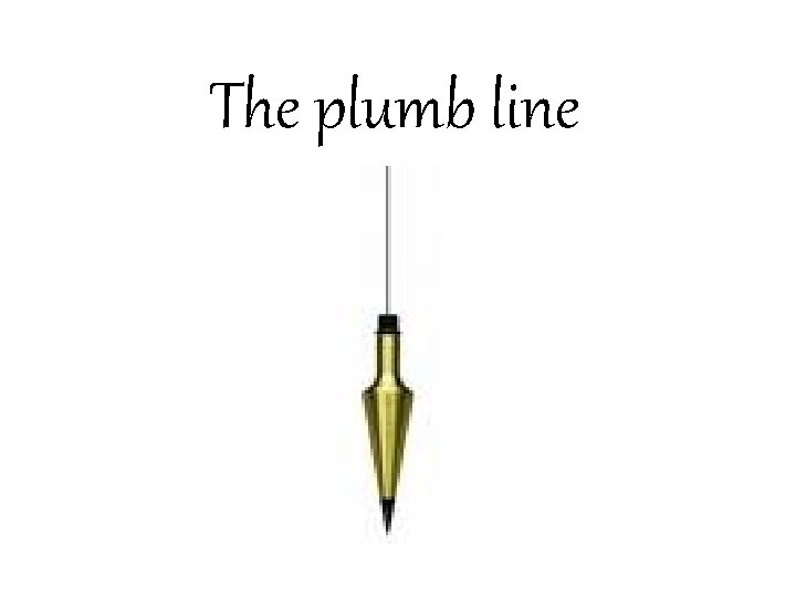 The plumb line 