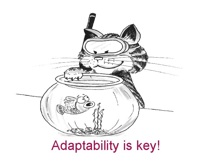 Adaptability is key! 