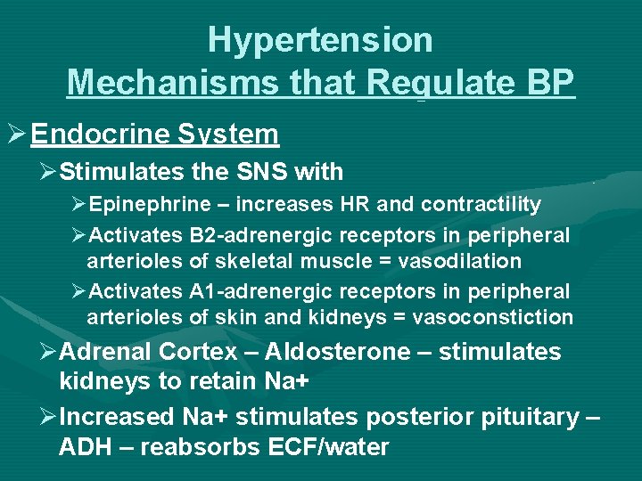 Hypertension Mechanisms that Regulate BP Ø Endocrine System ØStimulates the SNS with ØEpinephrine –