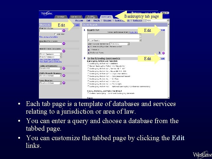Bankruptcy tab page Edit • Each tab page is a template of databases and