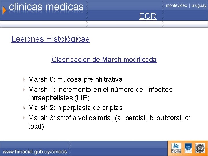 ECR Lesiones Histológicas Clasificacion de Marsh modificada Marsh 0: mucosa preinfiltrativa Marsh 1: incremento