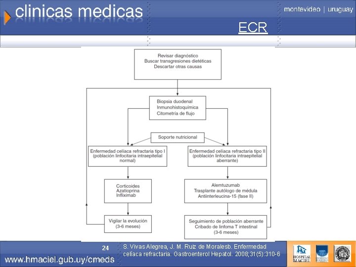 ECR 24 S. Vivas Alegrea, J. M. Ruiz de Moralesb. Enfermedad celíaca refractaria. Gastroenterol