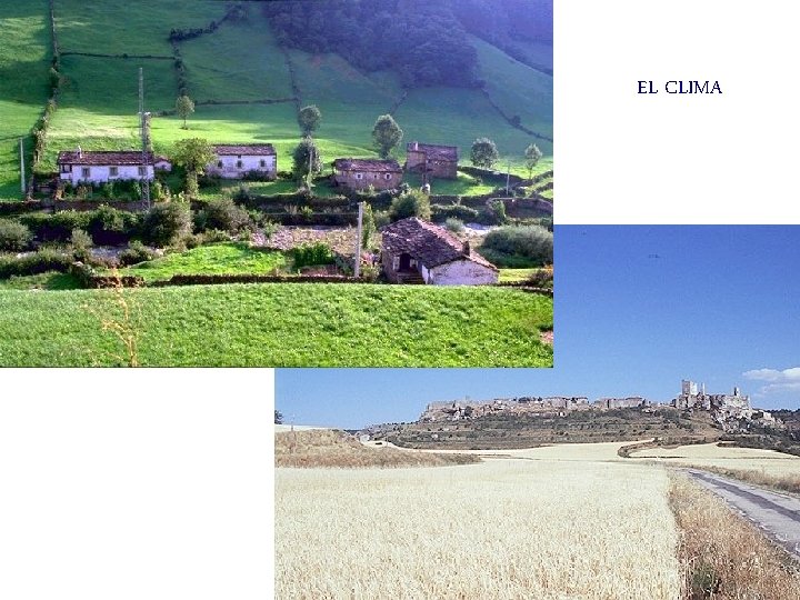 EL CLIMA 