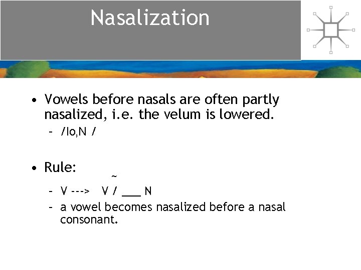 Nasalization • Vowels before nasals are often partly nasalized, i. e. the velum is Nasalization • Vowels before nasals are often partly nasalized, i. e. the velum is