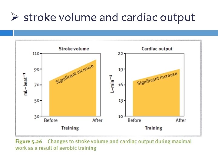 Ø stroke volume and cardiac output Ø stroke volume and cardiac output