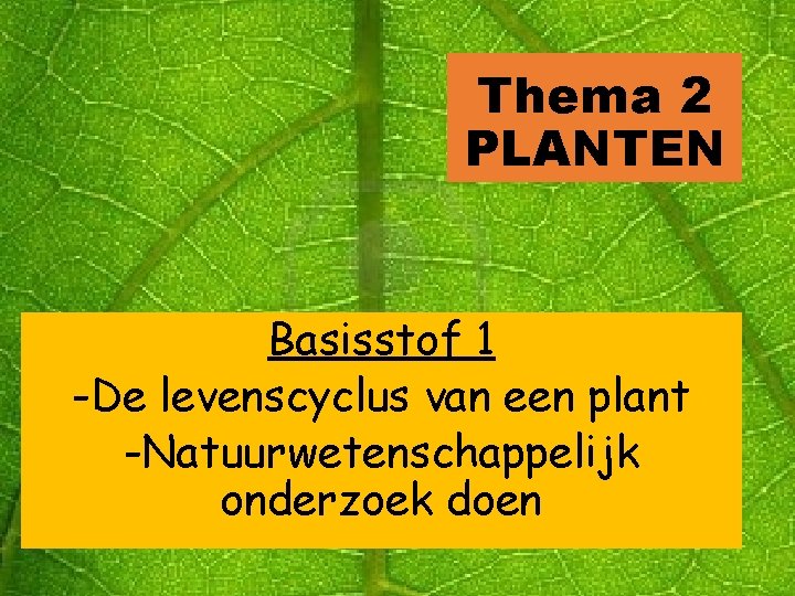 Thema 2 PLANTEN Basisstof 1 -De levenscyclus van een plant -Natuurwetenschappelijk onderzoek doen 