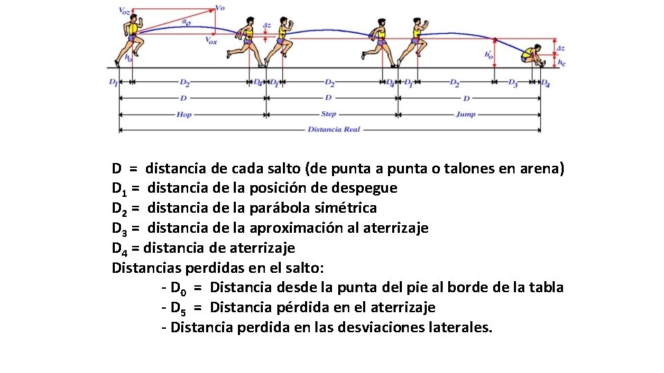 D = distancia de cada salto (de punta a punta o talones en arena)