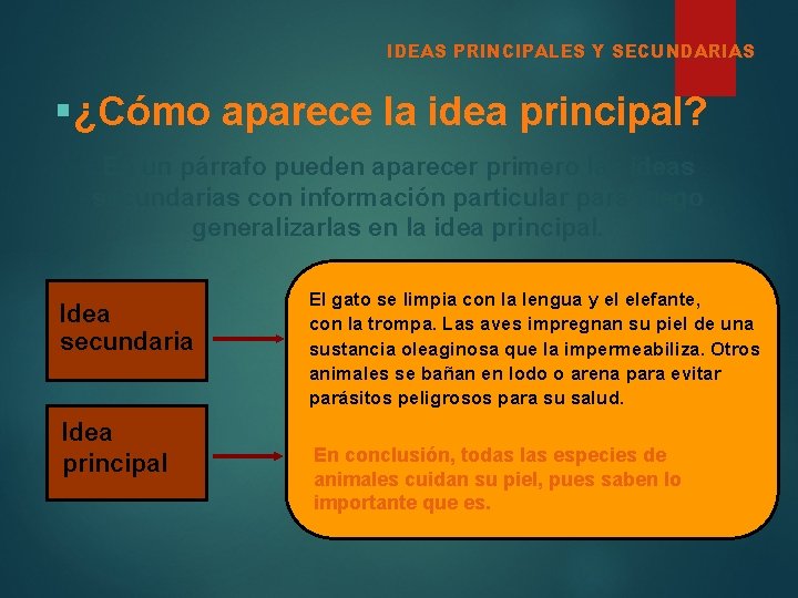 IDEAS PRINCIPALES Y SECUNDARIAS §¿Cómo aparece la idea principal? En un párrafo pueden aparecer