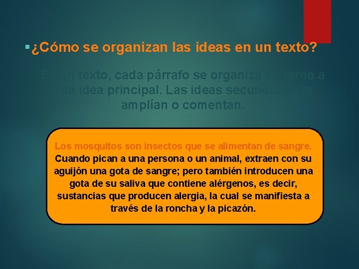 §¿Cómo se organizan las ideas en un texto? En un texto, cada párrafo se