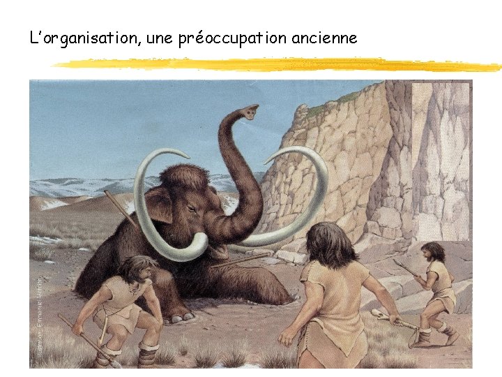 L’organisation, une préoccupation ancienne JLB 13 L’organisation, une préoccupation ancienne JLB 13