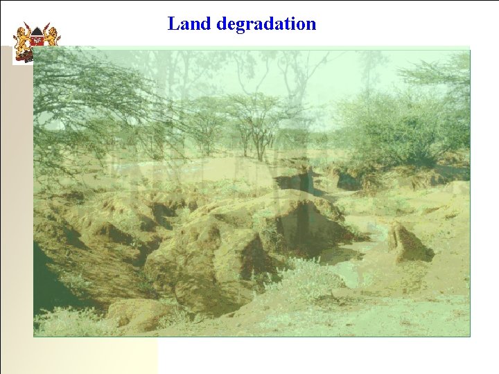 Land degradation 