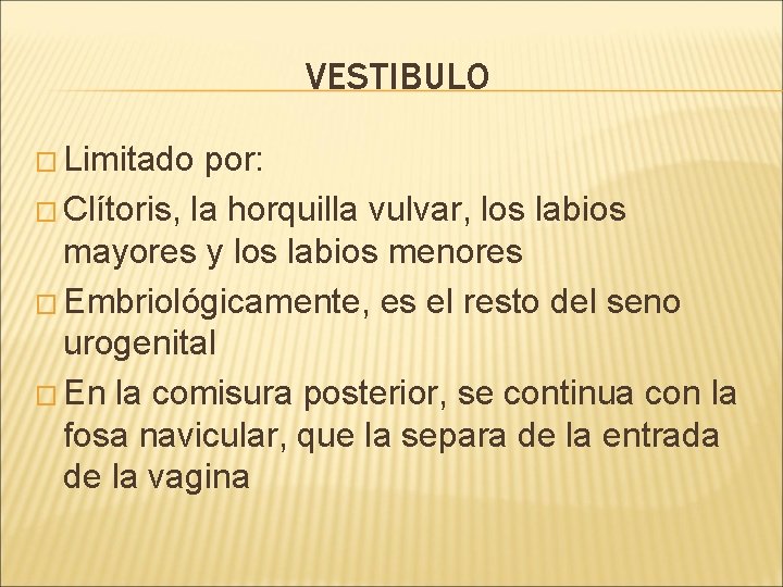 VESTIBULO � Limitado por: � Clítoris, la horquilla vulvar, los labios mayores y los