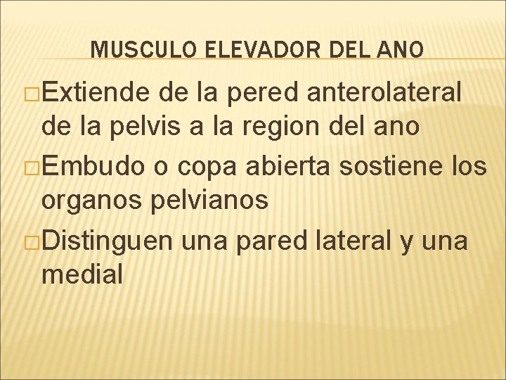 MUSCULO ELEVADOR DEL ANO �Extiende de la pered anterolateral de la pelvis a la