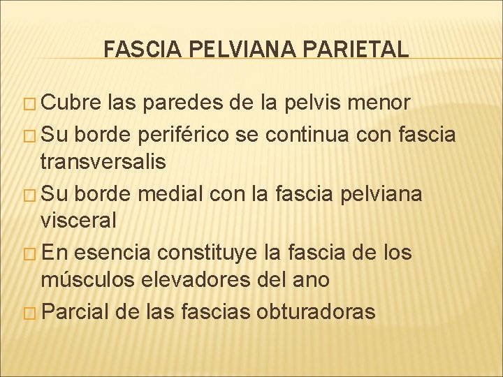 FASCIA PELVIANA PARIETAL � Cubre las paredes de la pelvis menor � Su borde