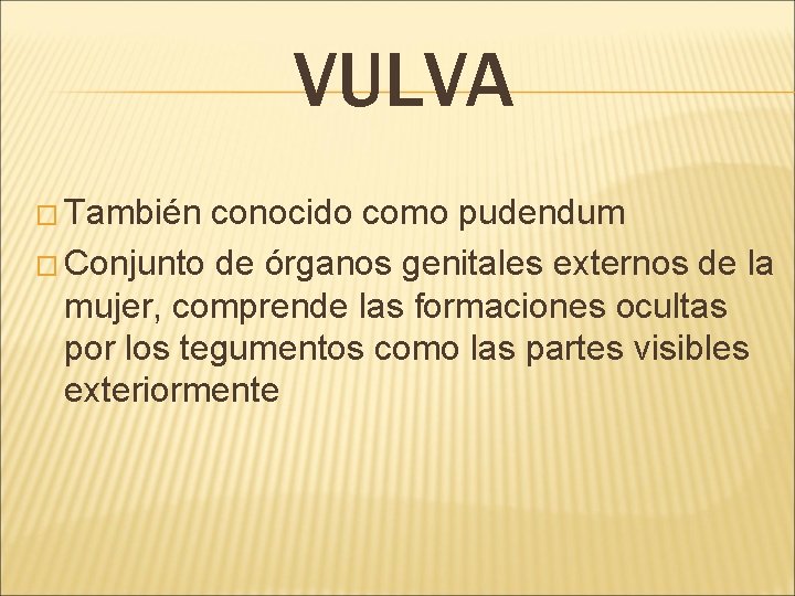 VULVA � También conocido como pudendum � Conjunto de órganos genitales externos de la