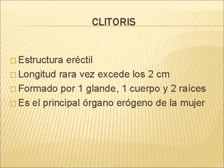 CLITORIS � Estructura eréctil � Longitud rara vez excede los 2 cm � Formado