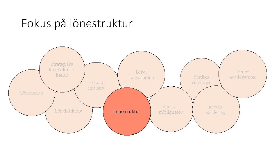 Fokus på lönestruktur Strategiska lönepolitiska beslut Lokala initiativ Löneanalys Lönebildning Lokal lönesatsning Lönestruktur Statliga