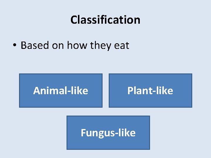 Classification • Based on how they eat Animal-like Plant-like Fungus-like 