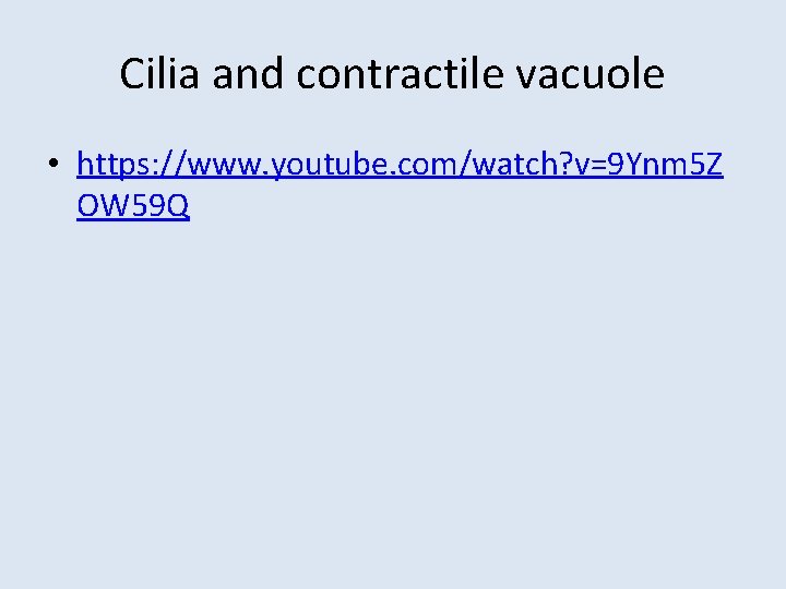 Cilia and contractile vacuole • https: //www. youtube. com/watch? v=9 Ynm 5 Z OW