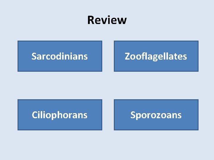 Review Sarcodinians Zooflagellates Ciliophorans Sporozoans 