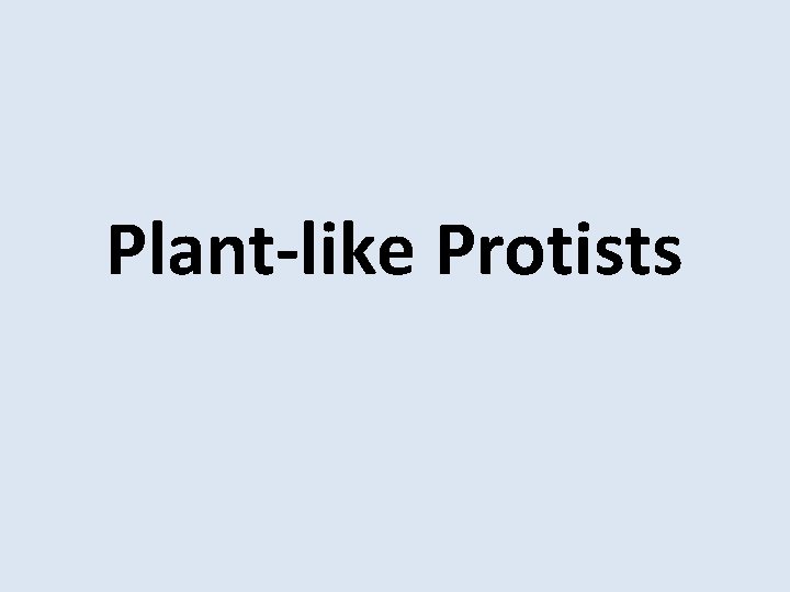 Plant-like Protists 
