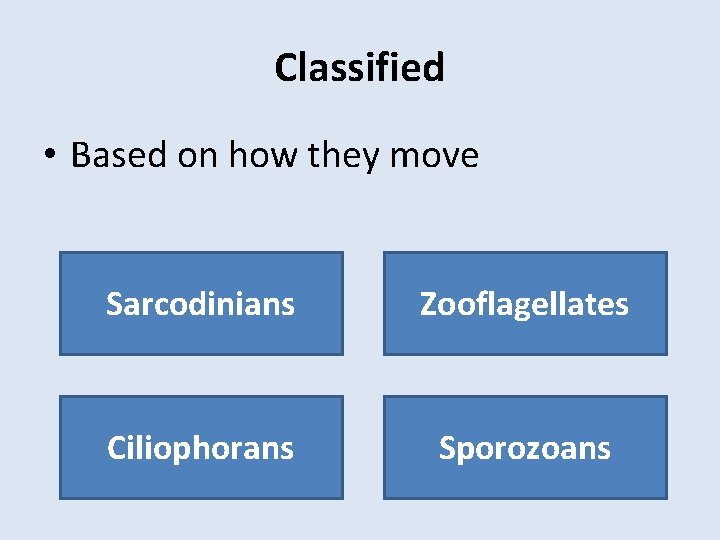 Classified • Based on how they move Sarcodinians Zooflagellates Ciliophorans Sporozoans 