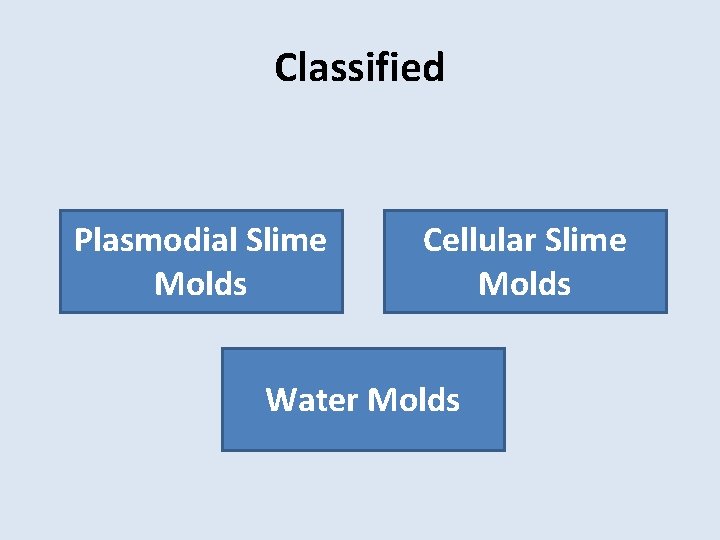 Classified Plasmodial Slime Molds Cellular Slime Molds Water Molds 