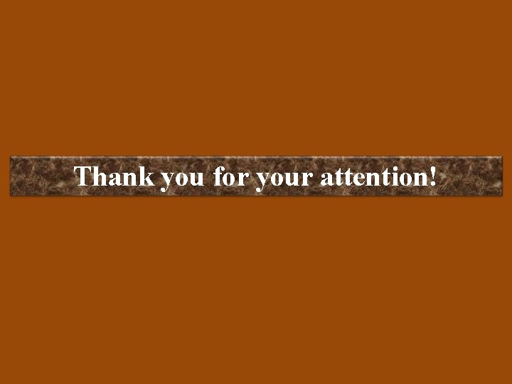 Thank you for your attention! 