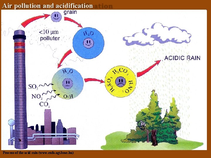 Air pollution and acidification Process of the acid rain (www. enfo. agt. bme. hu)