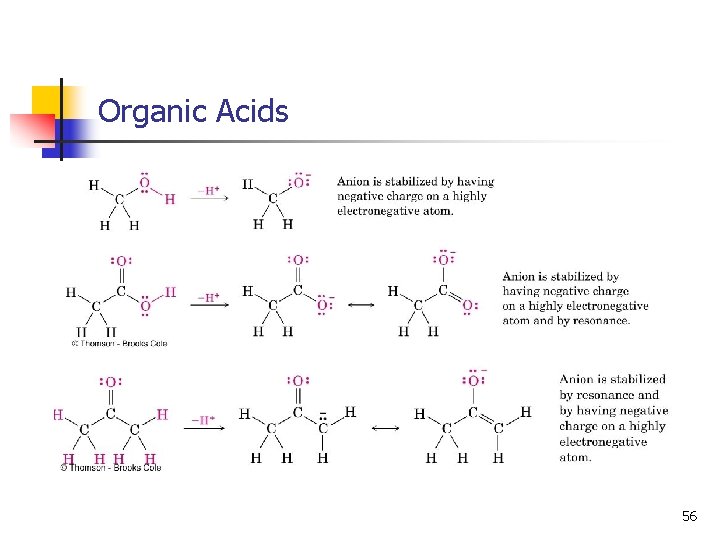 Organic Acids 56 