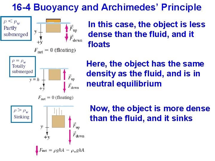 16 -4 Buoyancy and Archimedes’ Principle In this case, the object is less dense