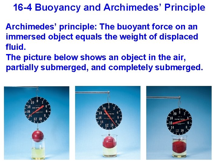 16 -4 Buoyancy and Archimedes’ Principle Archimedes’ principle: The buoyant force on an immersed