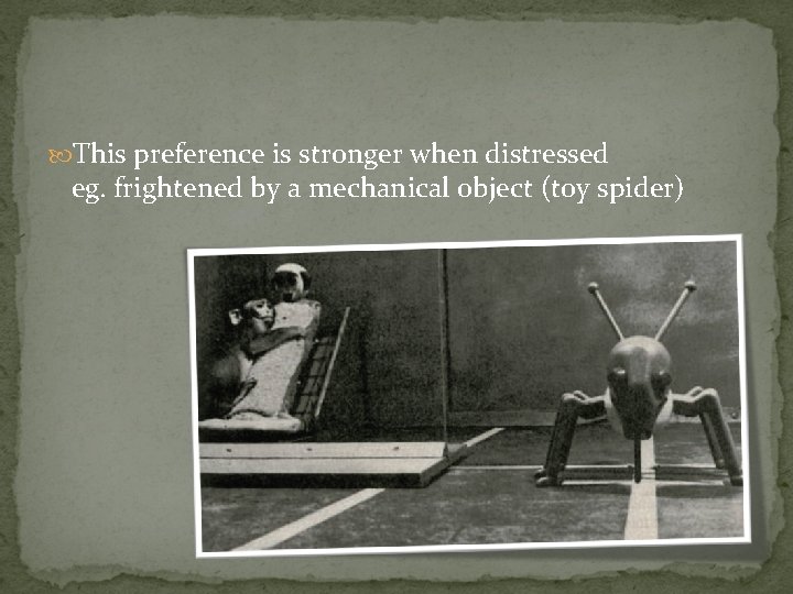  This preference is stronger when distressed eg. frightened by a mechanical object (toy
