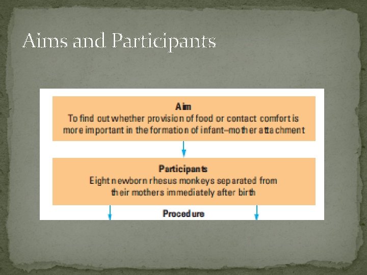 Aims and Participants 
