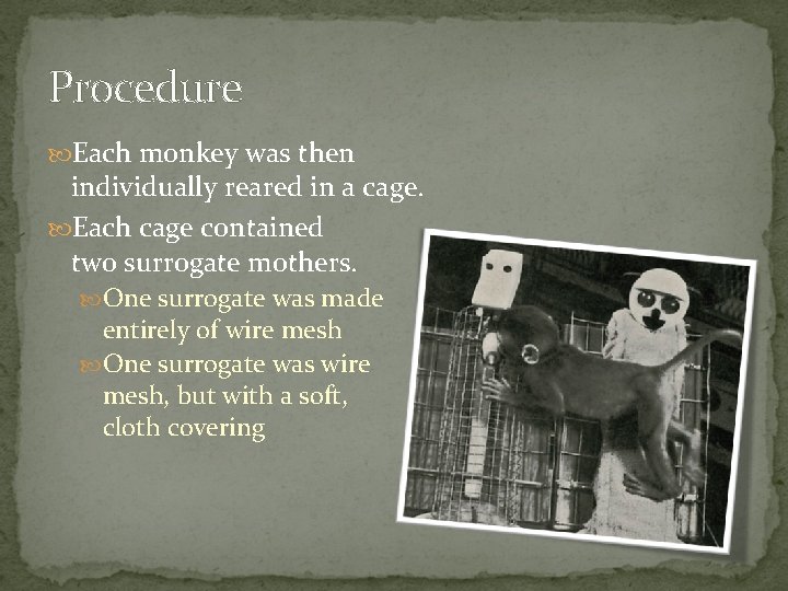 Procedure Each monkey was then individually reared in a cage. Each cage contained two