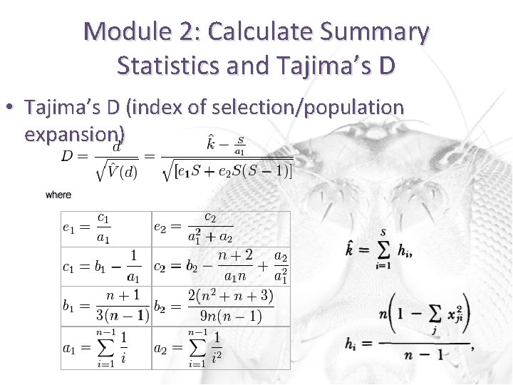 Module 2: Calculate Summary Statistics and Tajima’s D • Tajima’s D (index of selection/population