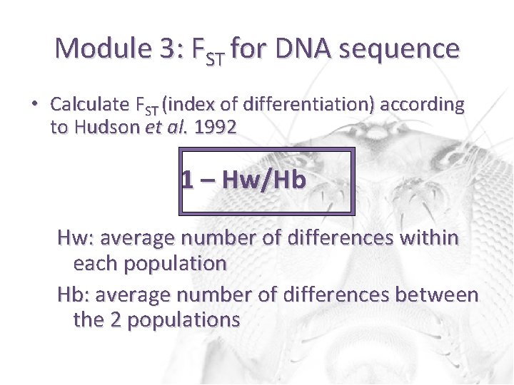 Module 3: FST for DNA sequence • Calculate FST (index of differentiation) according to