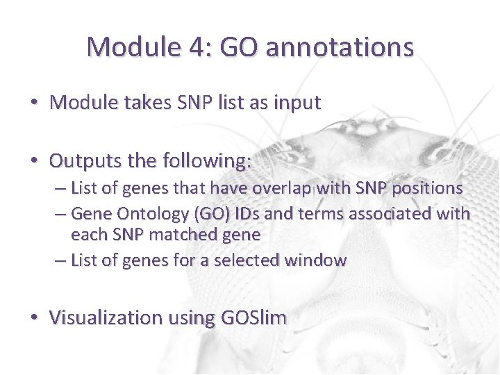 Module 4: GO annotations • Module takes SNP list as input • Outputs the