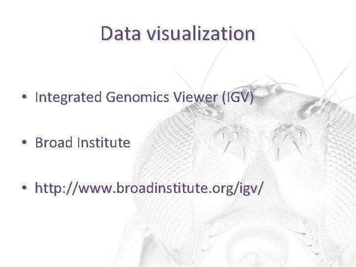 Data visualization • Integrated Genomics Viewer (IGV) • Broad Institute • http: //www. broadinstitute.