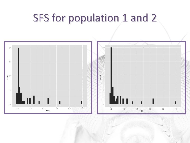 SFS for population 1 and 2 